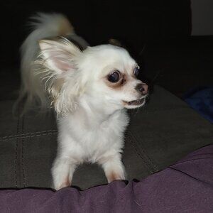 Meet your Posher, Nikki